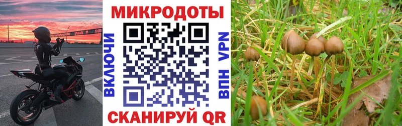 Галлюциногенные грибы ЛСД  Купить закладки  Кострома 